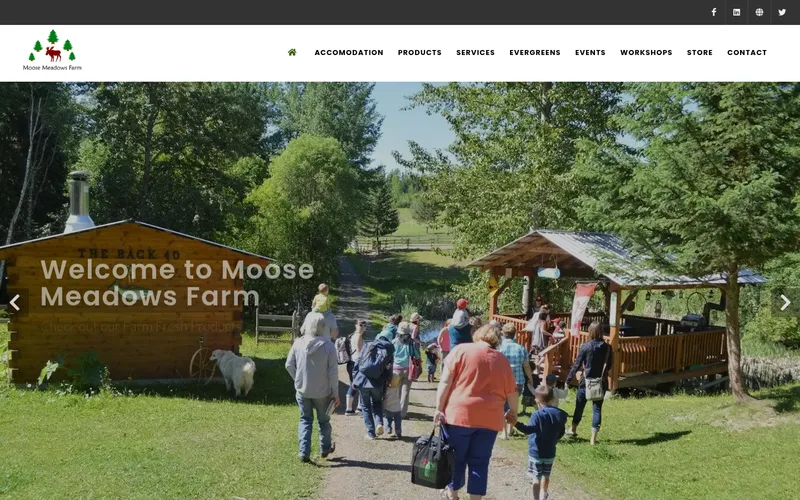 Moose Meadows Farm website